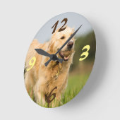 Golden Retriever Ronde Klok (Hoek)