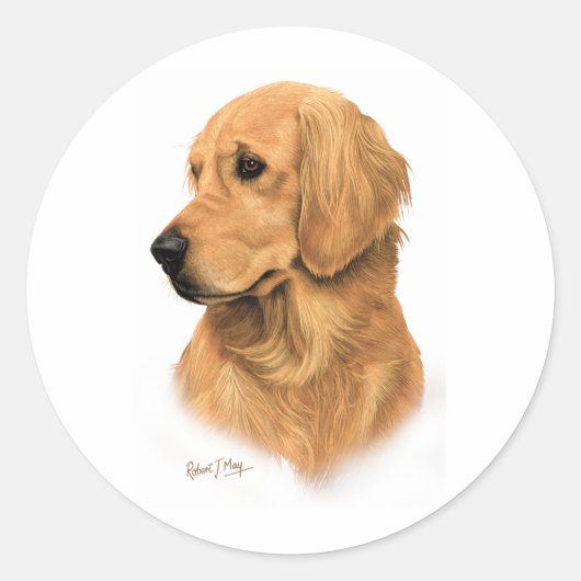 Golden Retriever Ronde Sticker