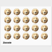 Golden Retriever Ronde Sticker (Vel)