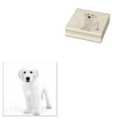 Golden Retriever Rubberstempel (Gestempeld)