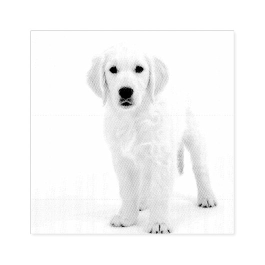 Golden Retriever Rubberstempel (Afrduk)