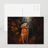 Golden Retriever 's nachts Briefkaart (Voorkant / Achterkant)