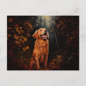 Golden Retriever 's nachts Briefkaart (Voorkant)