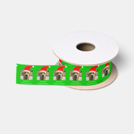 Golden Retriever Santa 4Stephanie Satijnen Lint