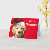 Golden Retriever Santa Claus Kaart (Gele Bloem)
