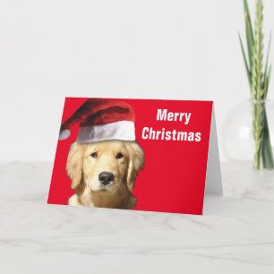Golden Retriever Santa Claus Kaart