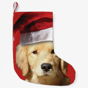 Golden Retriever Santa Claus Kleine Kerstsok