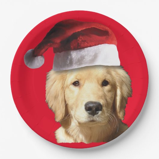 Golden Retriever Santa Claus Papieren Bordje (Voorkant)