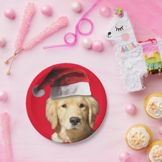 Golden Retriever Santa Claus Papieren Bordje (Feest)