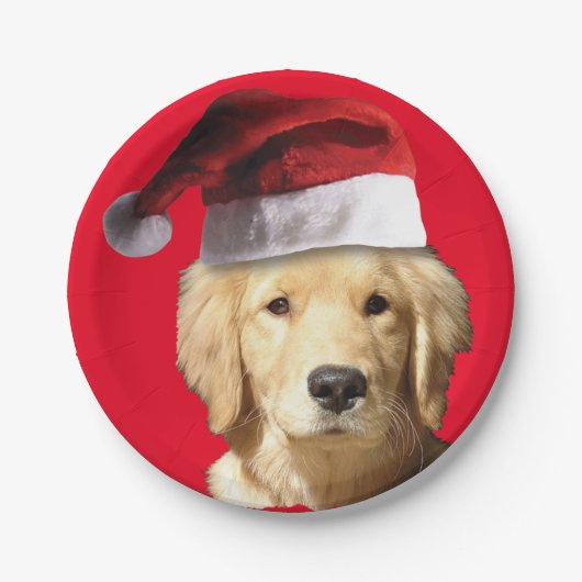 Golden Retriever Santa Claus Papieren Bordje (Voorkant)