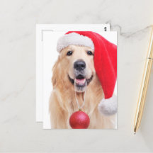 Golden Retriever Santa Hat