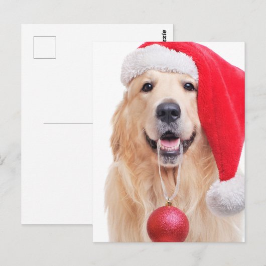 Golden Retriever Santa Hat Briefkaart (Voorkant / Achterkant)