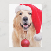 Golden Retriever Santa Hat Briefkaart (Voorkant)