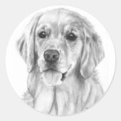 Golden Retriever Schetch Stickers (Voorkant)
