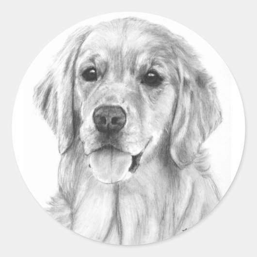 Golden Retriever Schetch Stickers (Voorkant)