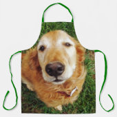 Golden Retriever Schort (Voorkant)