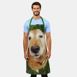 Golden Retriever Schort