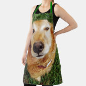 Golden Retriever Schort (Insitu)