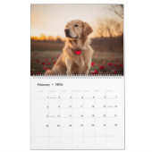 Golden Retriever Seizoen Kalandar Kalender (Feb 2026)