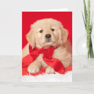 Golden Retriever Seizoenen Gurr-eetings Puppy Kaart