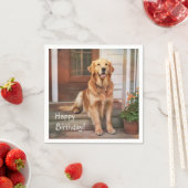 Golden Retriever Servet (Insitu)