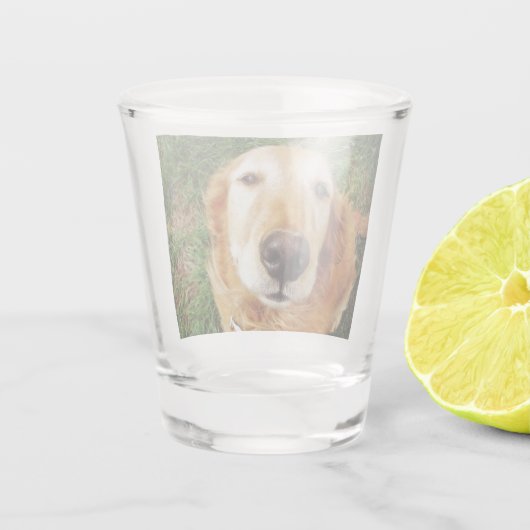 Golden Retriever Shot Glas (Achterkant)