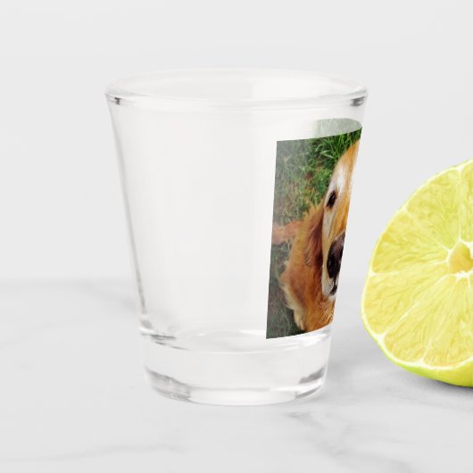 Golden Retriever Shot Glas (Links)