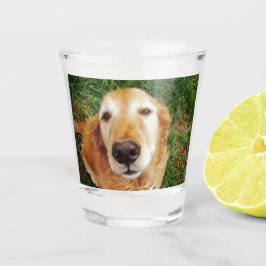 Golden Retriever Shot Glas