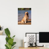 Golden Retriever Sitting Poster (Thuiskantoor)