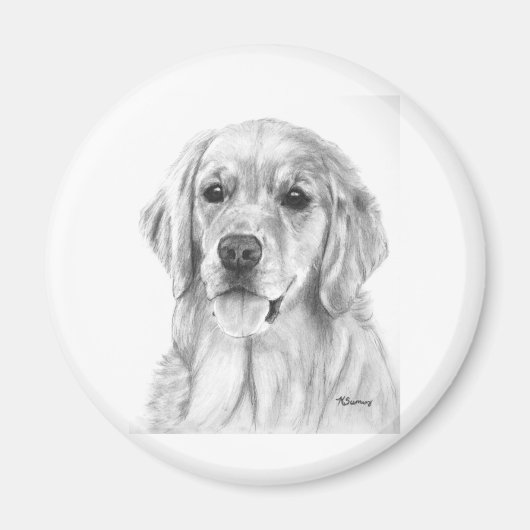 Golden Retriever Sketch Magneet (Voorkant)