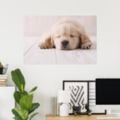 Golden Retriever Slaping Poster (Thuiskantoor)