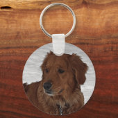 Golden Retriever Sleutelhanger (Voorkant)