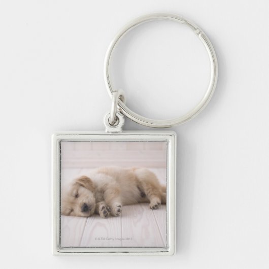 Golden Retriever Sleutelhanger (Voorkant)