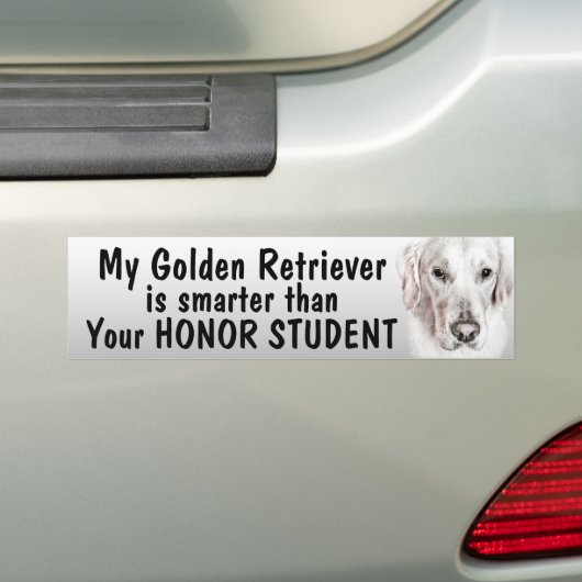Golden Retriever - slimmer dan student - grappig Bumpersticker (Op auto)