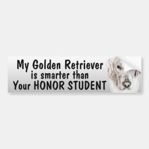 Golden Retriever - slimmer dan student - grappig Bumpersticker
