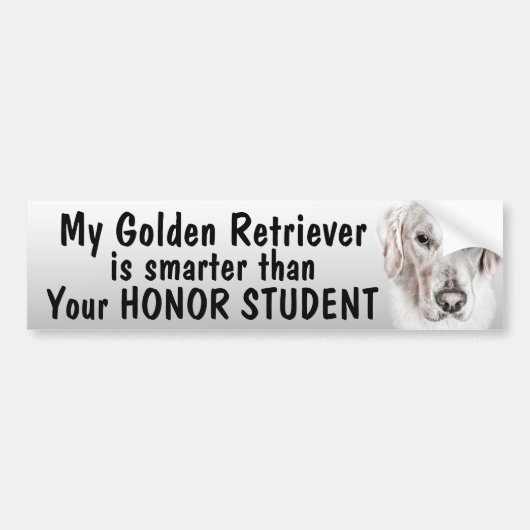 Golden Retriever - slimmer dan student - grappig Bumpersticker (Voorkant)