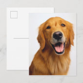 Golden Retriever Smile Briefkaart (Voorkant / Achterkant)