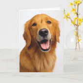 Golden Retriever Smile Kaart (Gele Bloem)
