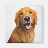Golden Retriever Smile Magneet (Voorkant)