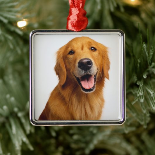 Golden Retriever Smile Metalen Ornament (Boom)