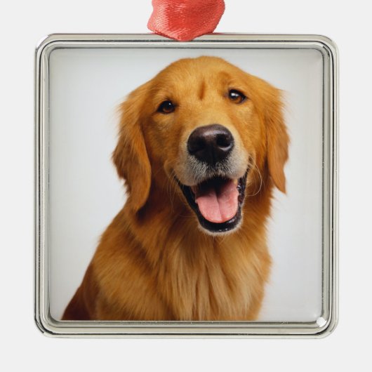 Golden Retriever Smile Metalen Ornament (Voorkant)