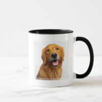 Golden Retriever Smile