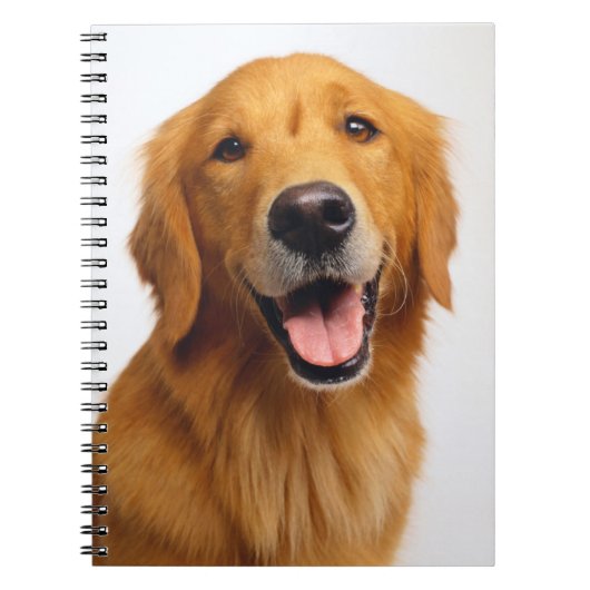 Golden Retriever Smile Notitieboek (Voorkant)