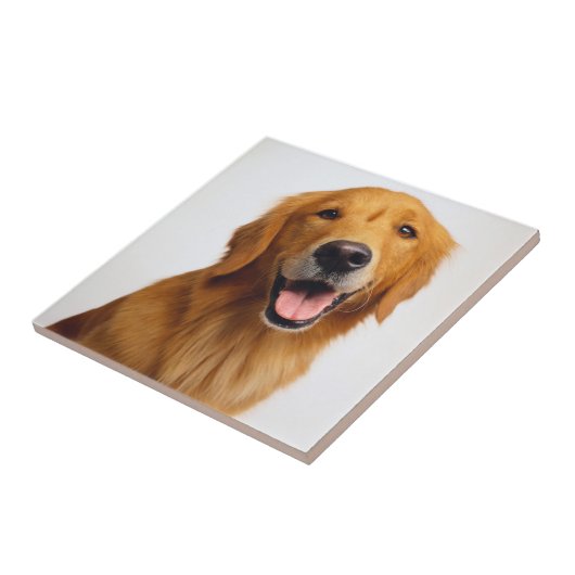 Golden Retriever Smile Tegeltje (Zijkant)