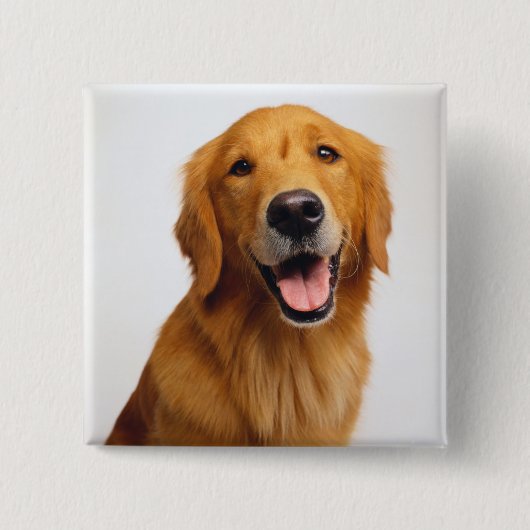 Golden Retriever Smile Vierkante Button 5,1 Cm (Voorkant)