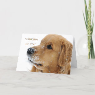 Golden Retriever Snow Dog Thinking of You Kaart