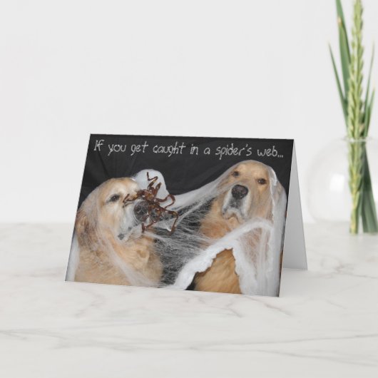 Golden Retriever Spider Web Halloween Feestdagen Kaart (Voorkant)