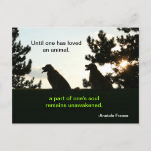 Golden Retriever Spiritueel Pet Quote Briefkaart