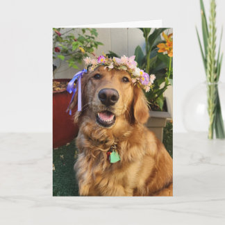 Golden Retriever spring or everyday card Kaart