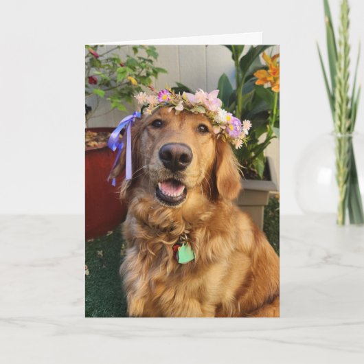 Golden Retriever spring or everyday card Kaart (Voorkant)